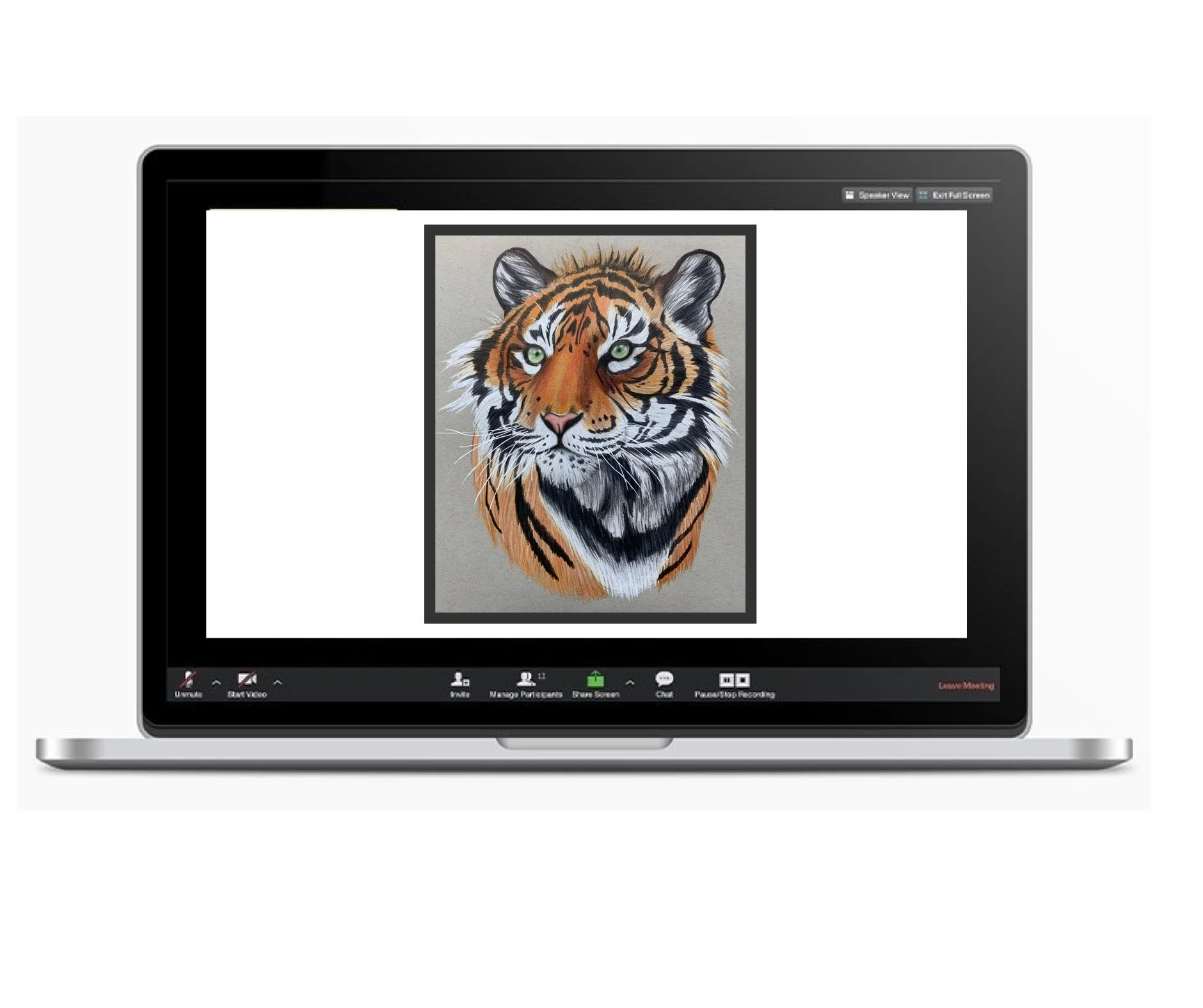 TIGER WITH COLOURED PENCIL (ADVANCED)
