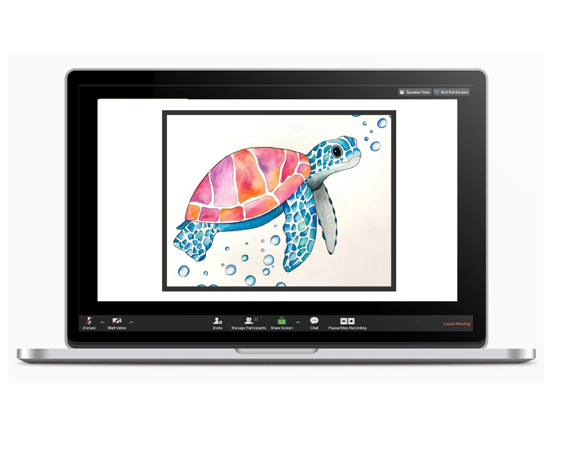 WATERCOLOUR TURTLE (BASIC)